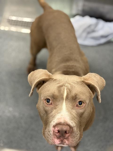 Zeus