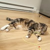 Lily - Photo 3