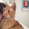 Freddy - Photo 6