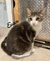 Evan - Photo 2