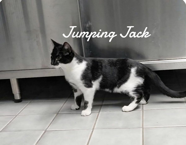 Jumping Jack