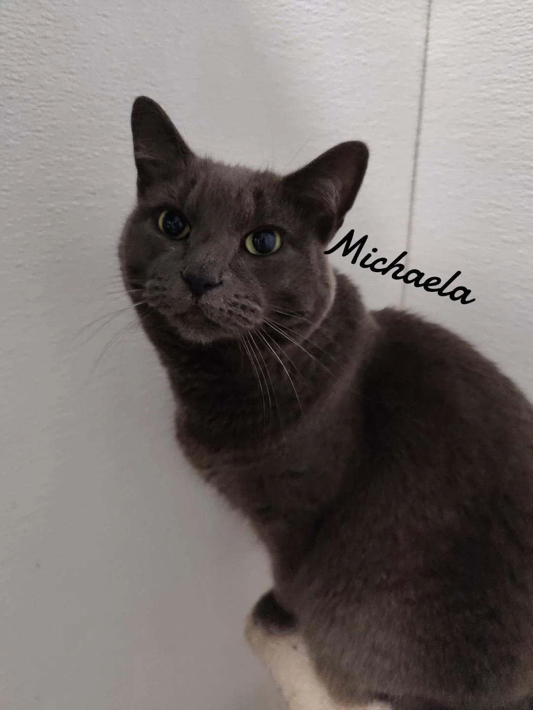 Michaela