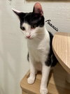 Frances - Photo 2