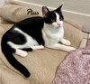 Pius - Photo 2
