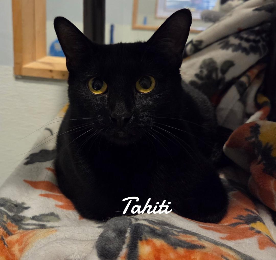 Tahiti