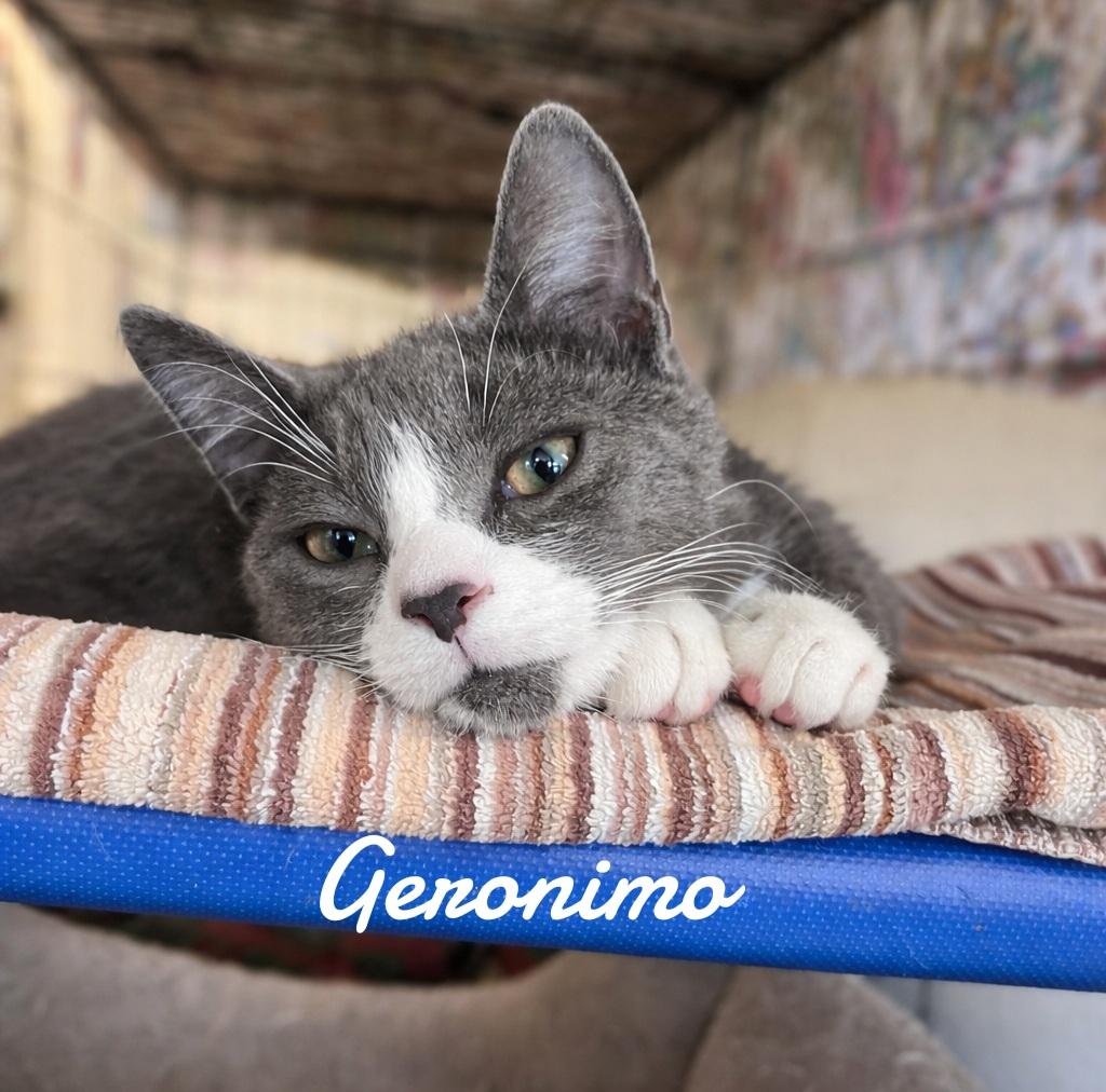 Geranimo