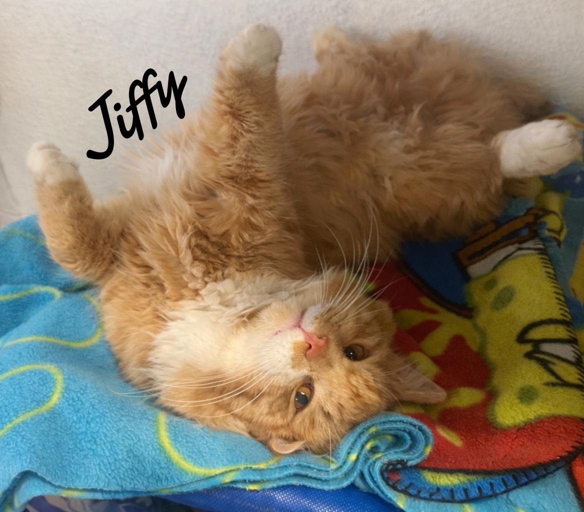 Jiffy