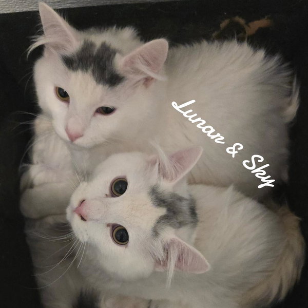 Luner&Sky