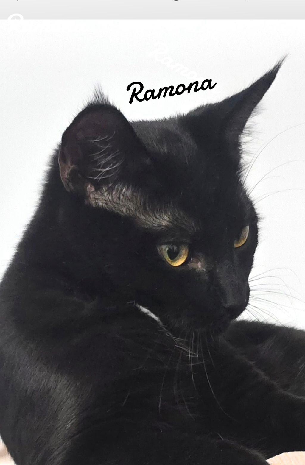 Ramona