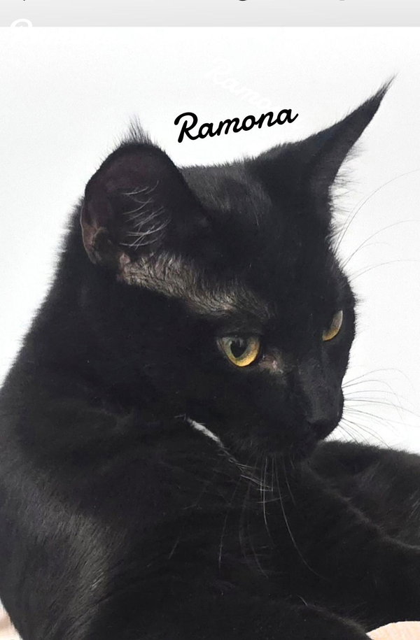Ramona