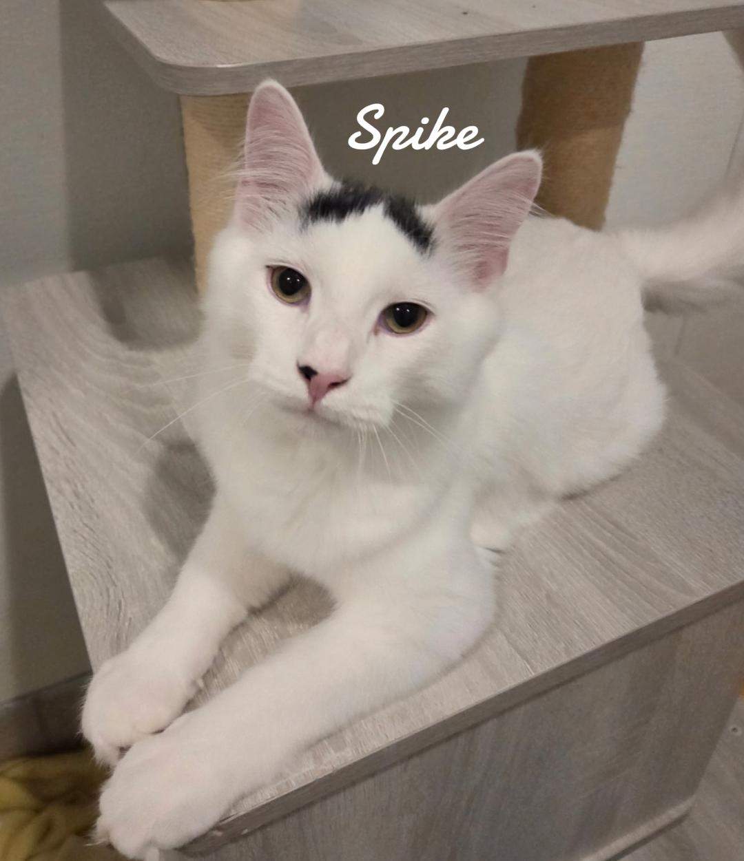 Spike