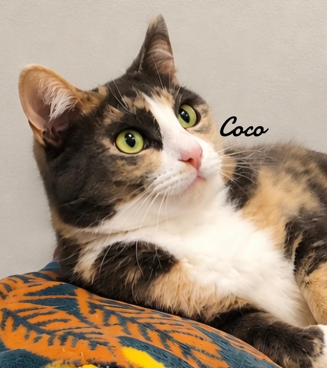 Coco