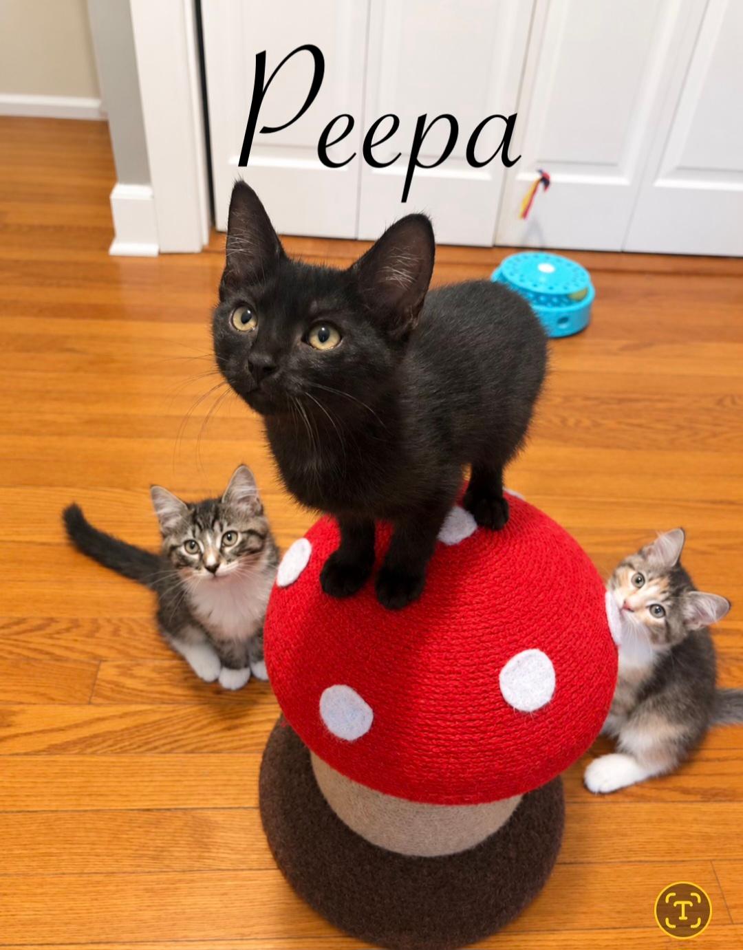 Peppa