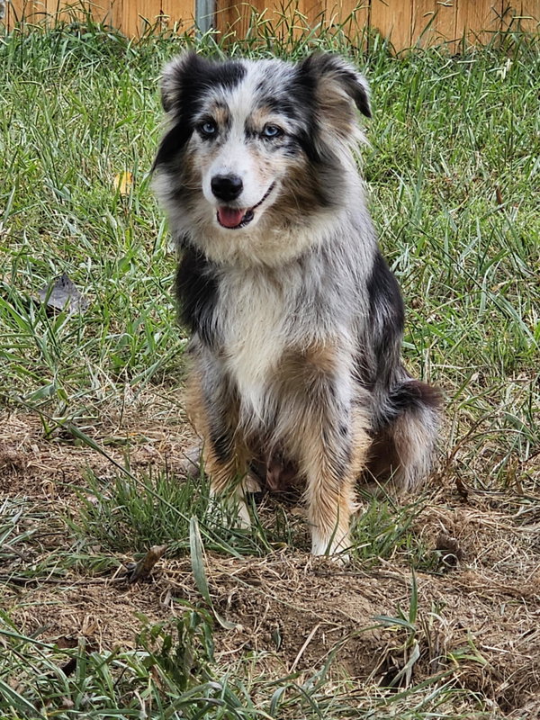 Freya