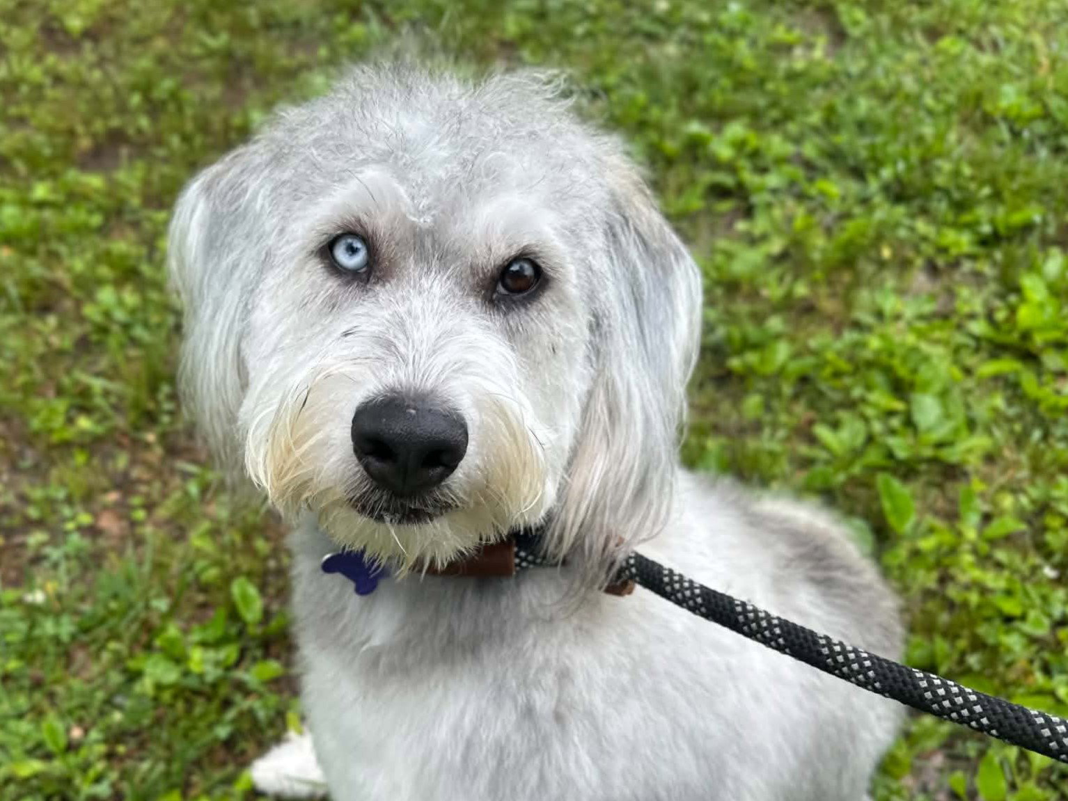 Samson