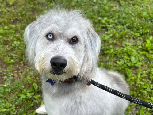 Samson