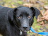 Clyde - Photo 5