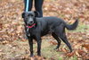 Clyde - Photo 6
