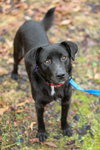 Clyde - Photo 4