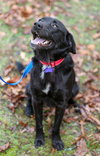 Clyde - Photo 7