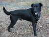 Clyde - Photo 2