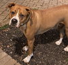 Bowser - COURTESY LISTING - Photo 4