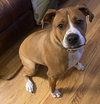 Bowser - COURTESY LISTING - Photo 3