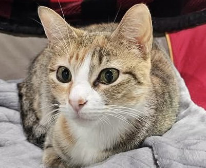 Colleen - SEE ME AT PETCO!