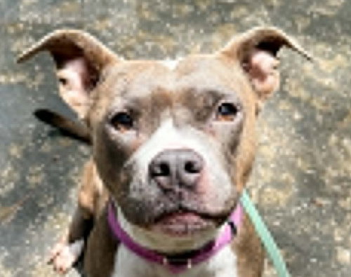 Photo 3 of Kalina - *COURTESY LISTING*