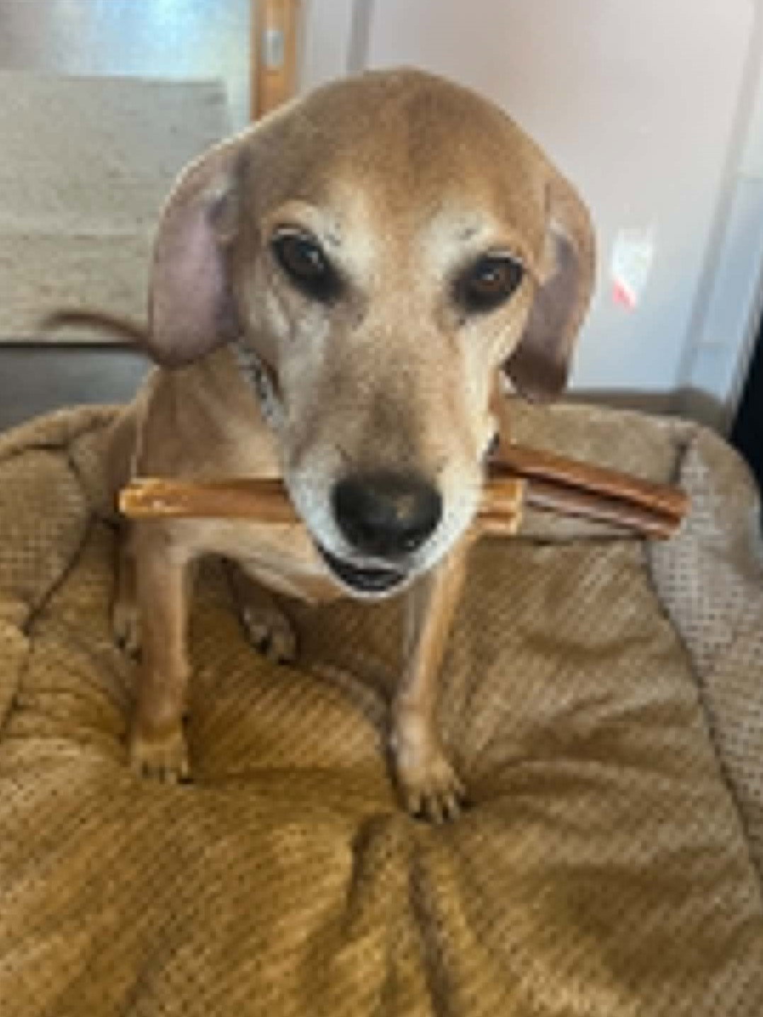 Brandy - *COURTESY LISTING*, photo 9