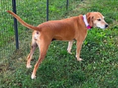 Photo 6 of Brandy - *COURTESY LISTING*