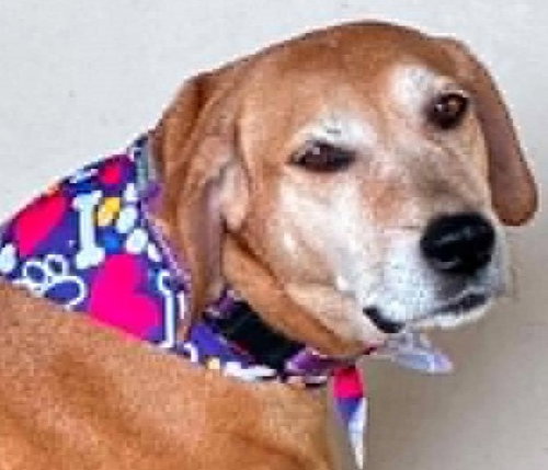 Photo 4 of Brandy - *COURTESY LISTING*