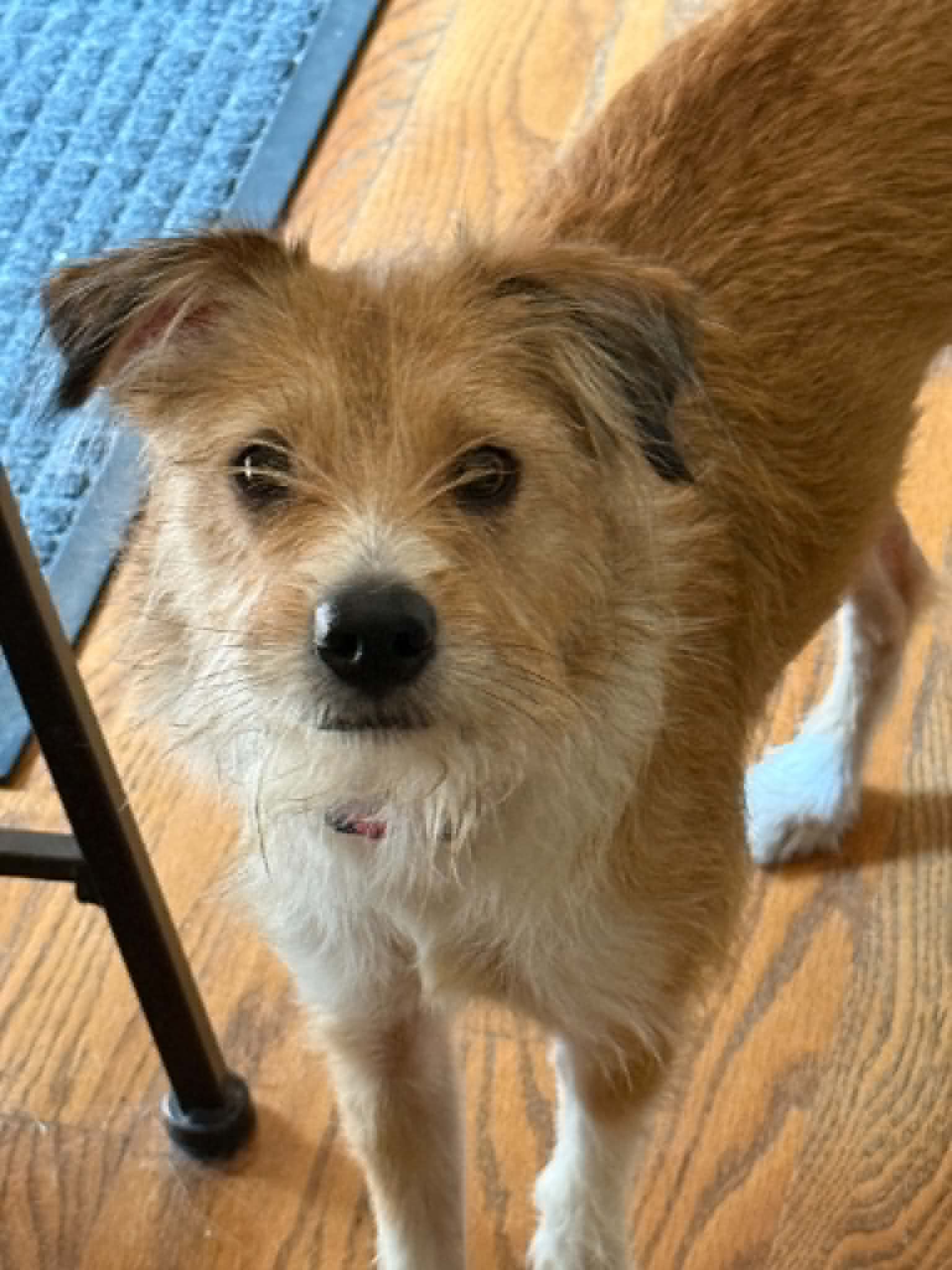 Minnie image 3