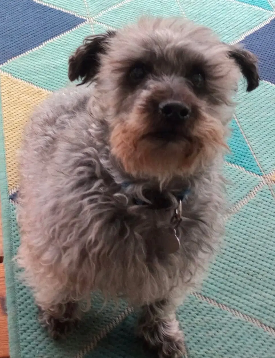 Cammie image 3