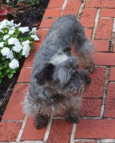 Cammie image 2