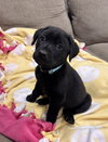 Akenson / Milo - Photo 1