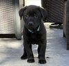 Akenson / Milo - Photo 3