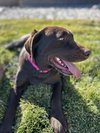 Tavares / Joann / Sadie - Photo 3