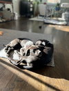 Classen / Lamby - Photo 2