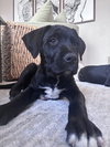 Clarkkee / Eggsy - Photo 4