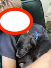 Clarksonee / Bunny - Photo 3
