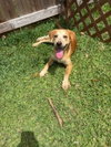 Coltonobre / Callie - Photo 3