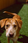 Coltonobre / Callie - Photo 4