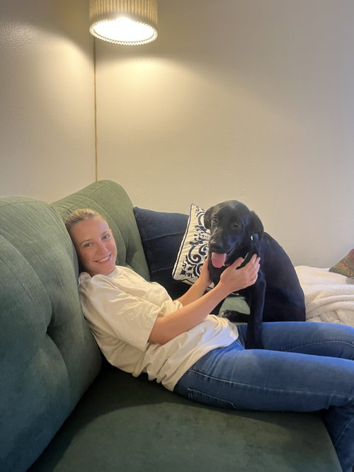 Damphousse / Stitch photo 3