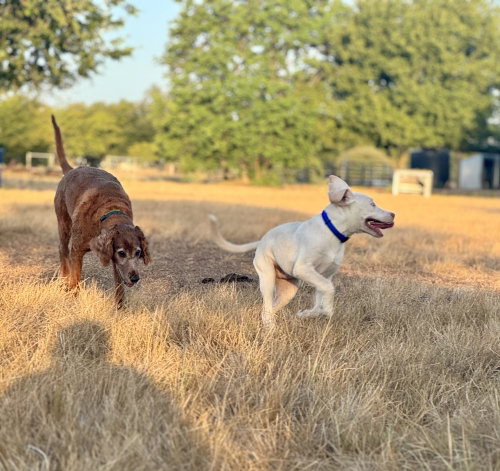 Donovanres / Theo / Murphy photo 1