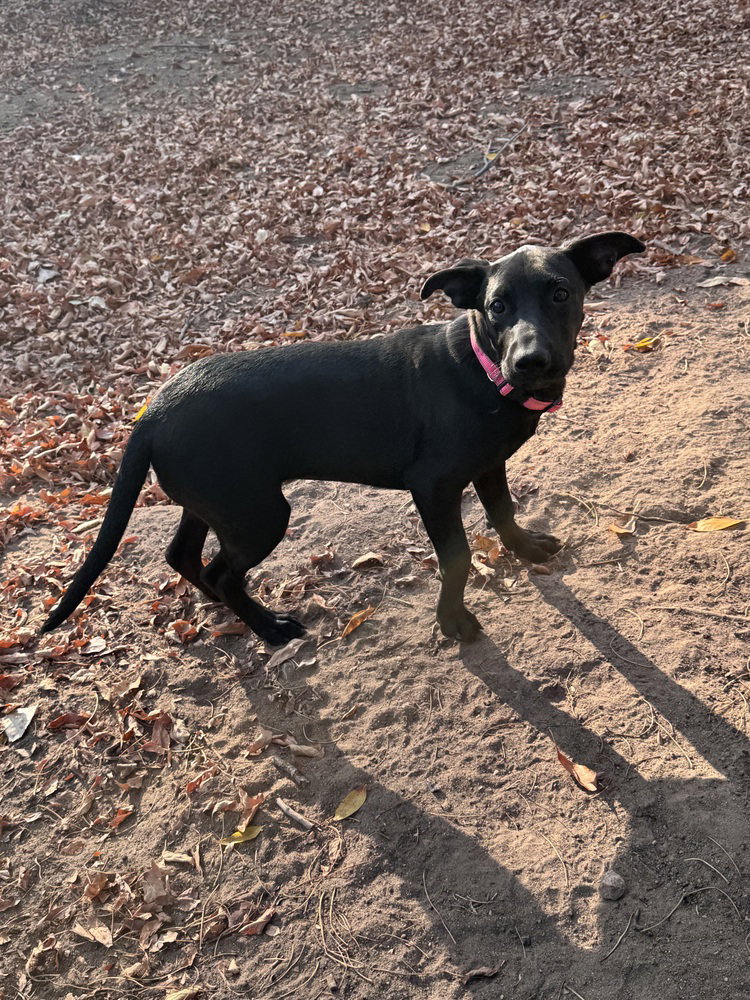 Drab / Collette / Winnie, photo 2