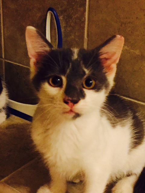 Spunky