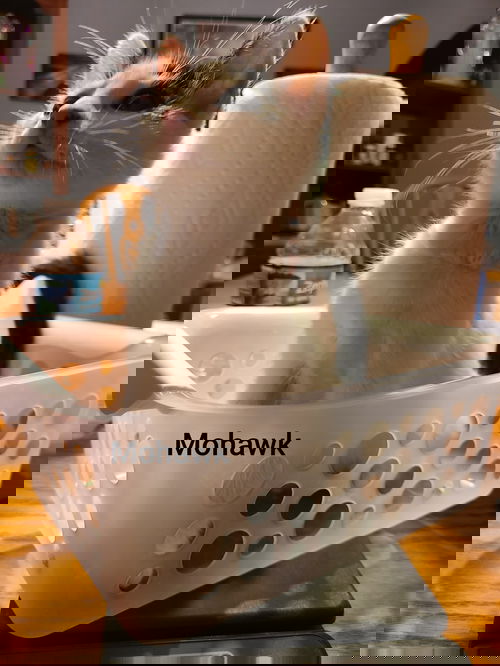 Mohawk