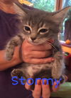 Stormy (now Billie)