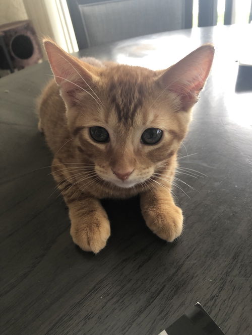 Charlie